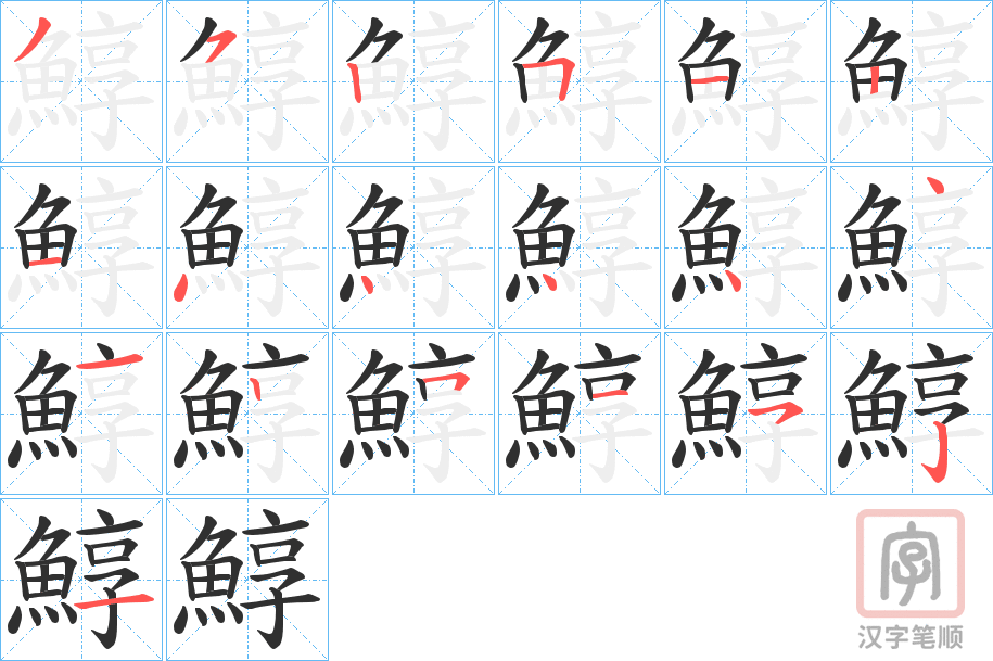 《鯙》的笔顺分步演示（一笔一画写字）