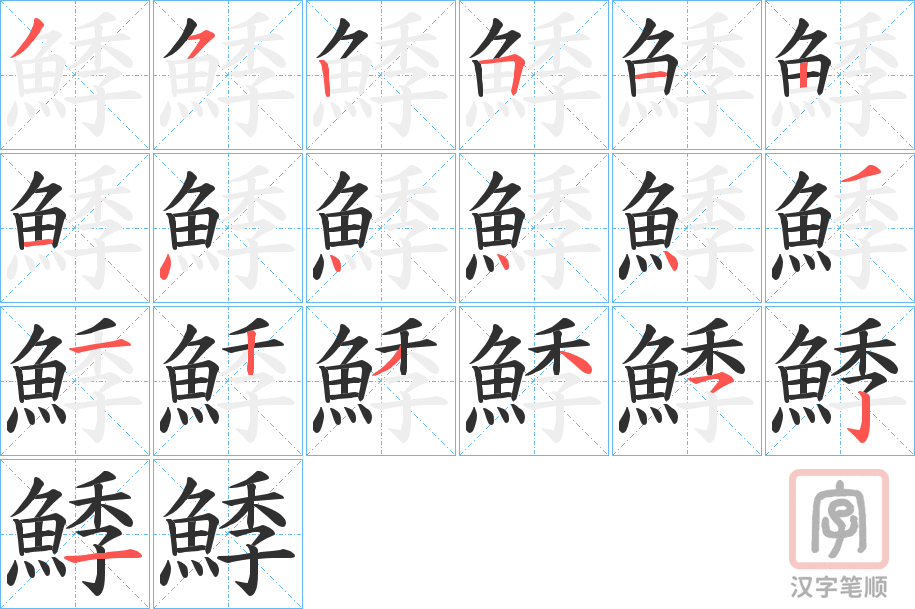 《鯚》的笔顺分步演示（一笔一画写字）
