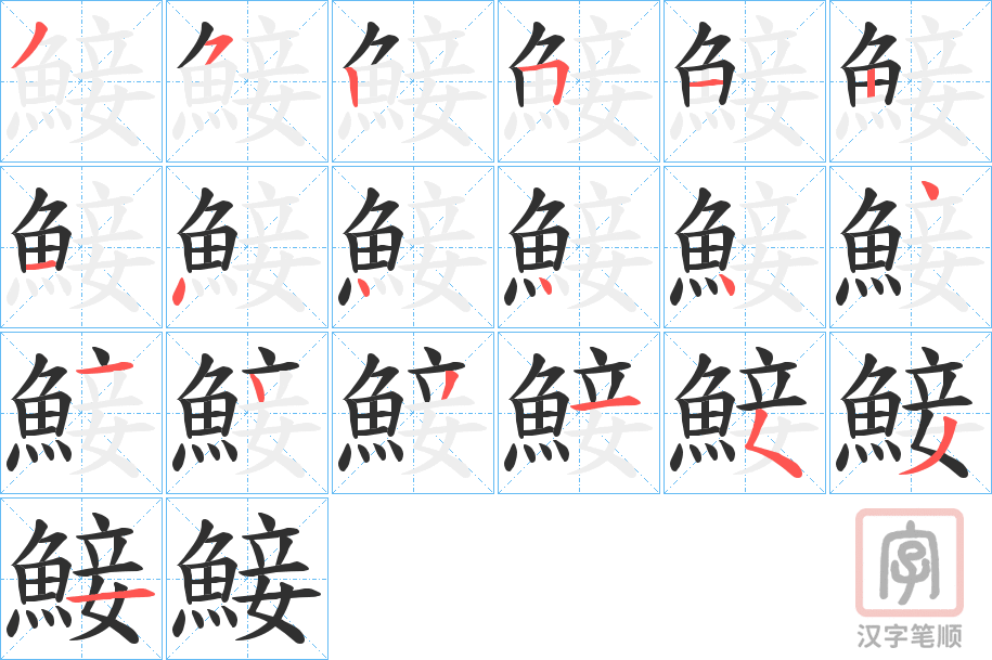 《鯜》的笔顺分步演示（一笔一画写字）