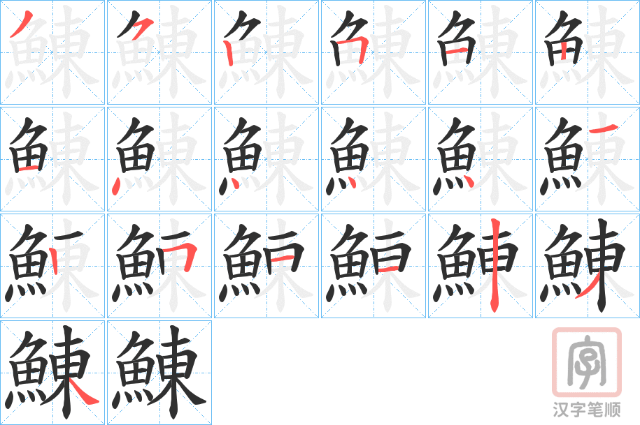 《鯟》的笔顺分步演示（一笔一画写字）