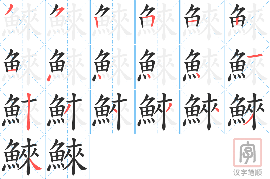 《鯠》的笔顺分步演示（一笔一画写字）