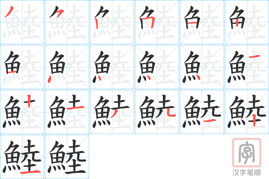 《鯥》的笔顺分步演示（一笔一画写字）