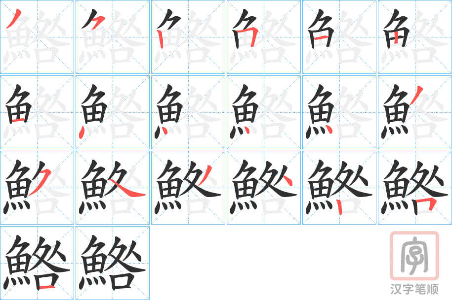 《鯦》的笔顺分步演示（一笔一画写字）