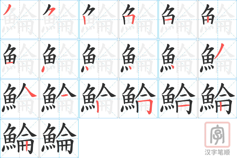 《鯩》的笔顺分步演示（一笔一画写字）