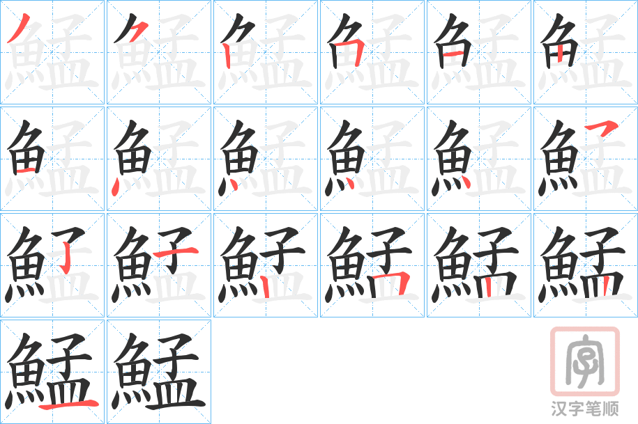 《鯭》的笔顺分步演示（一笔一画写字）