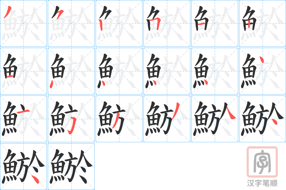 《鯲》的笔顺分步演示（一笔一画写字）