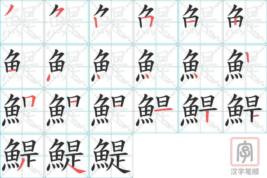 《鯷》的笔顺分步演示（一笔一画写字）
