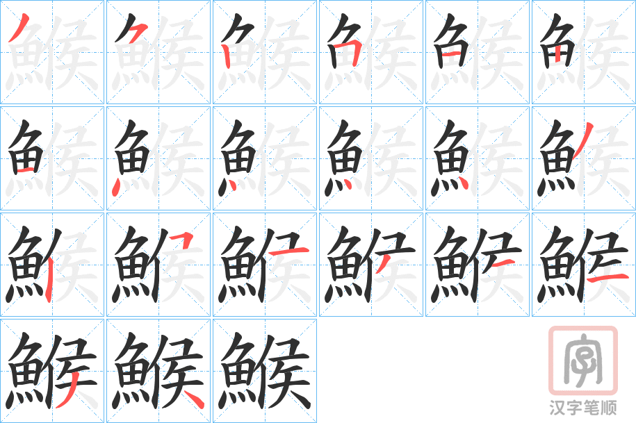 《鯸》的笔顺分步演示（一笔一画写字）