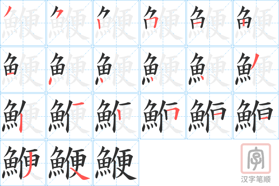 《鯾》的笔顺分步演示（一笔一画写字）