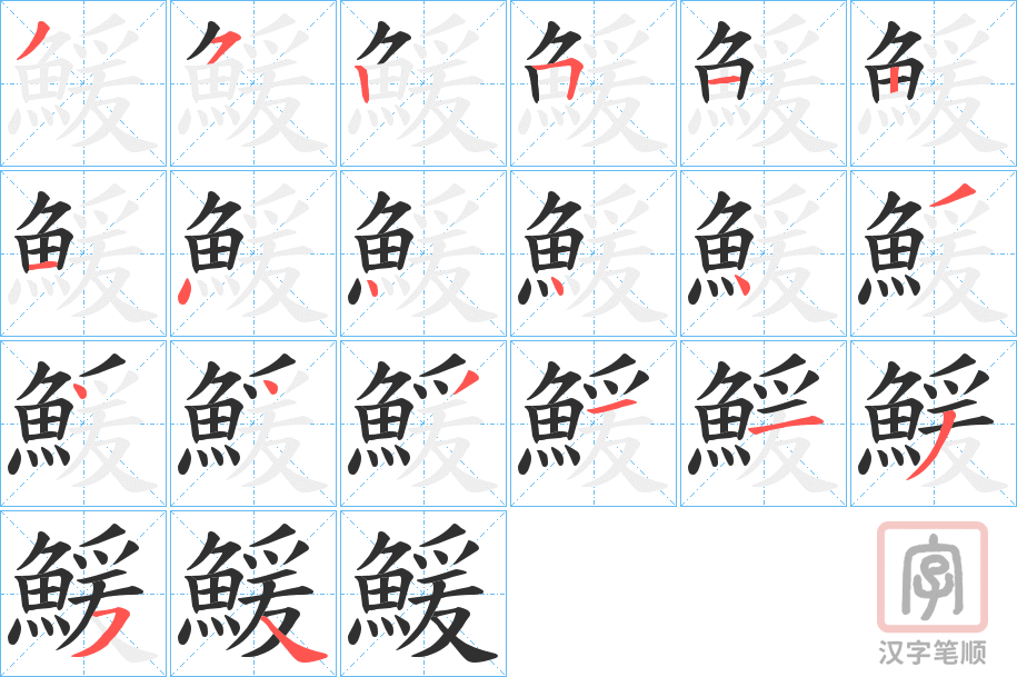 《鰀》的笔顺分步演示（一笔一画写字）