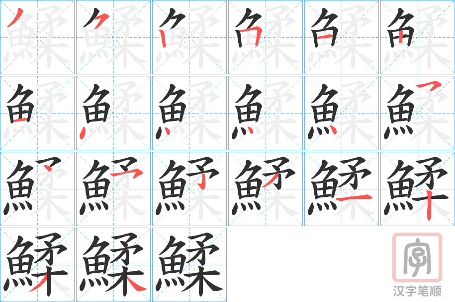 《鰇》的笔顺分步演示（一笔一画写字）