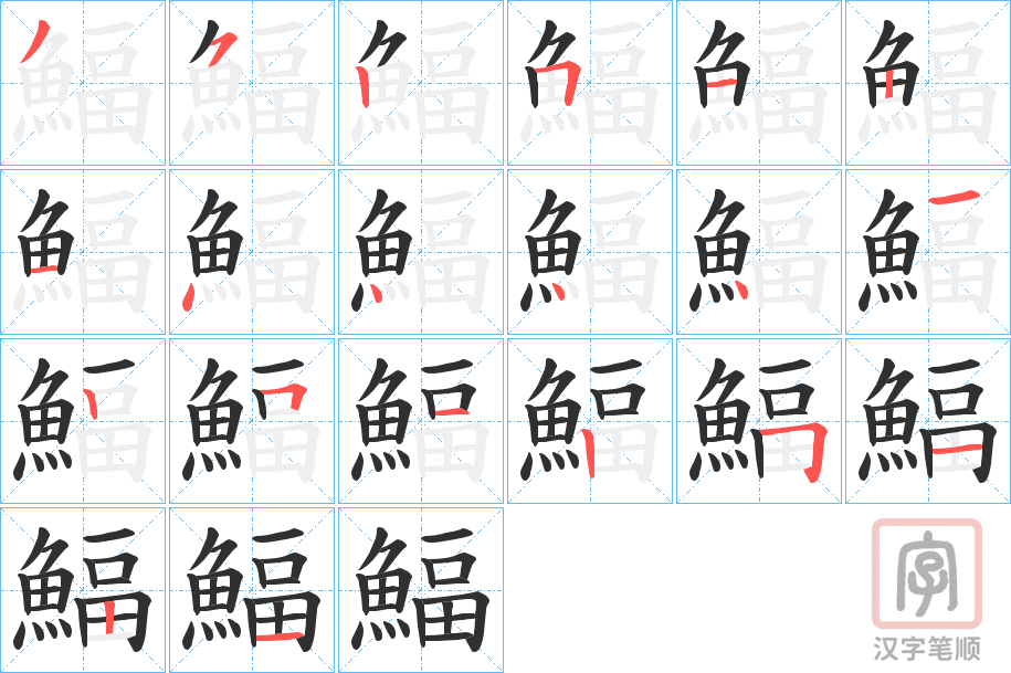 《鰏》的笔顺分步演示（一笔一画写字）