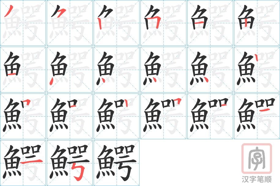 《鰐》的笔顺分步演示（一笔一画写字）