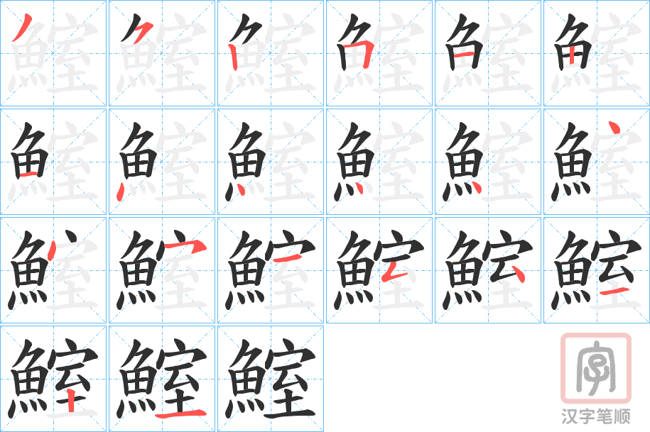 《鰘》的笔顺分步演示（一笔一画写字）