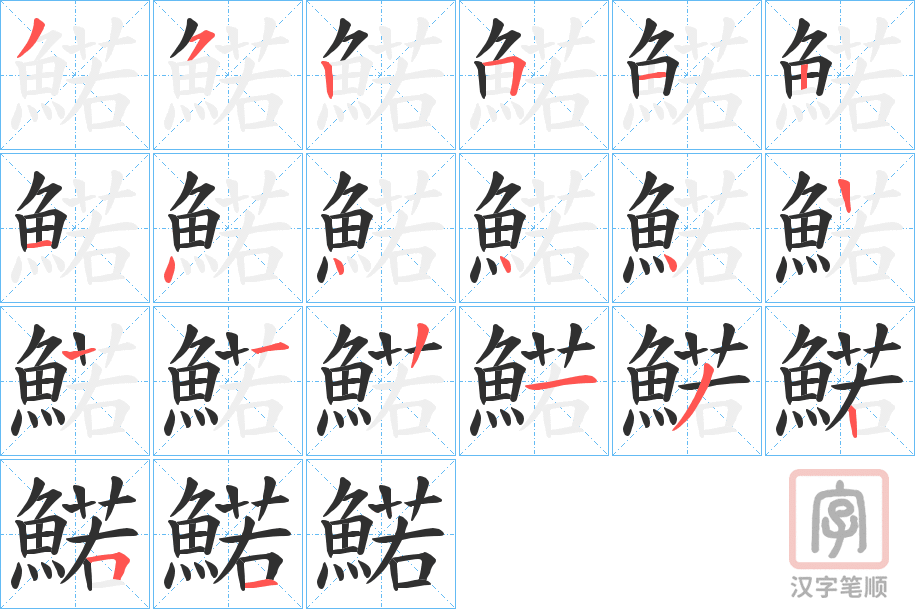 《鰙》的笔顺分步演示（一笔一画写字）
