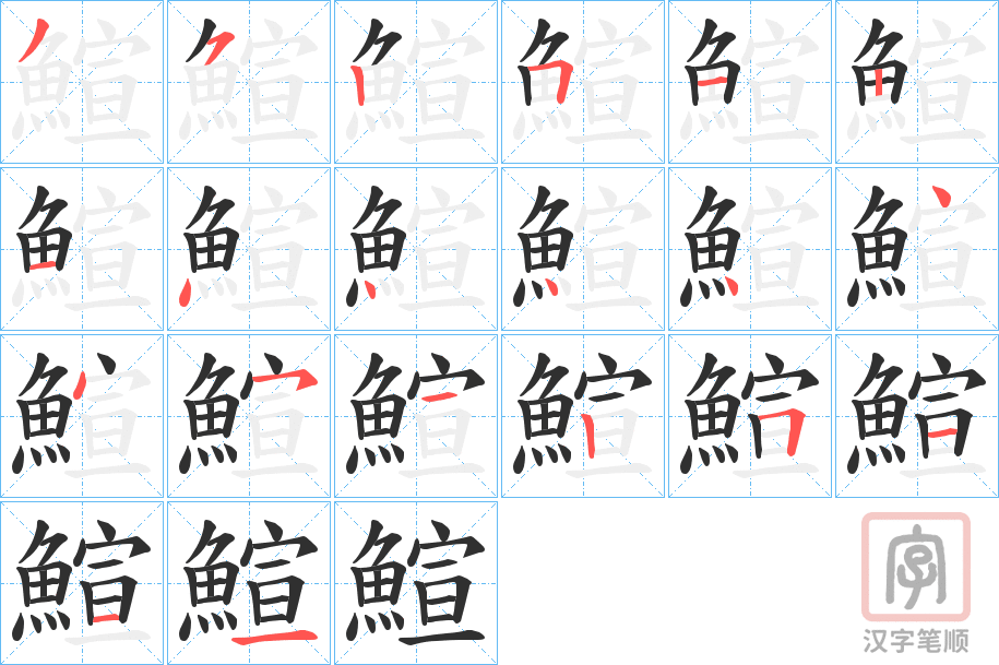 《鰚》的笔顺分步演示（一笔一画写字）