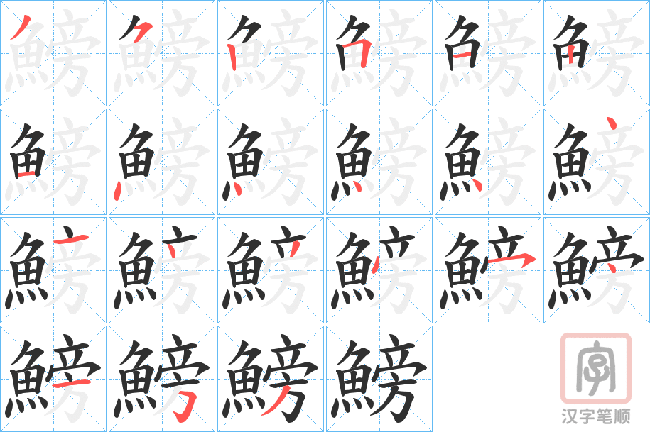 《鰟》的笔顺分步演示（一笔一画写字）