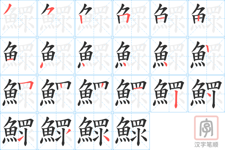 《鰥》的笔顺分步演示（一笔一画写字）