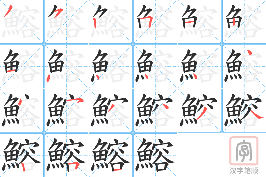 《鰫》的笔顺分步演示（一笔一画写字）