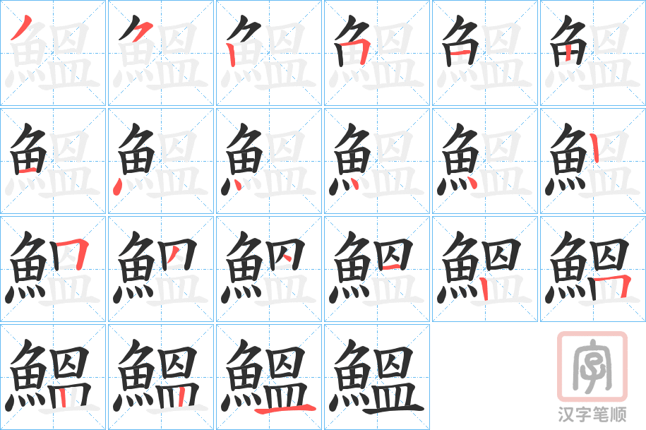 《鰮》的笔顺分步演示（一笔一画写字）