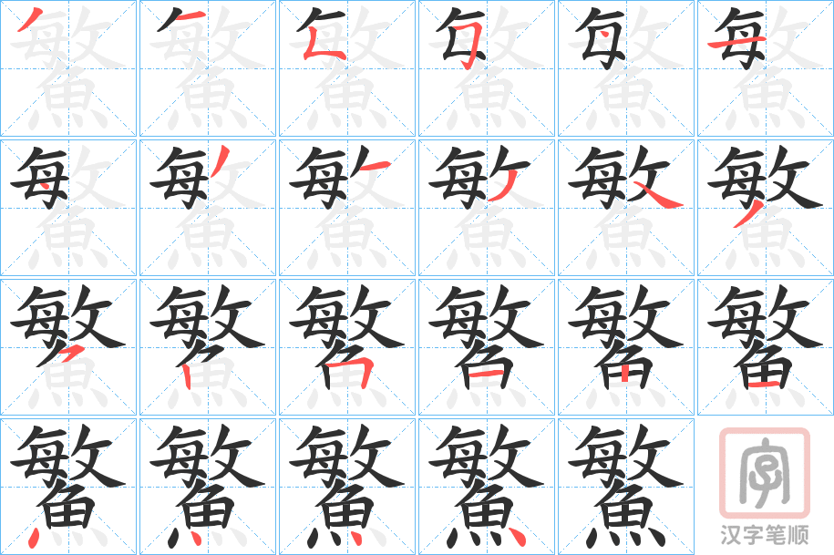 《鰵》的笔顺分步演示（一笔一画写字）