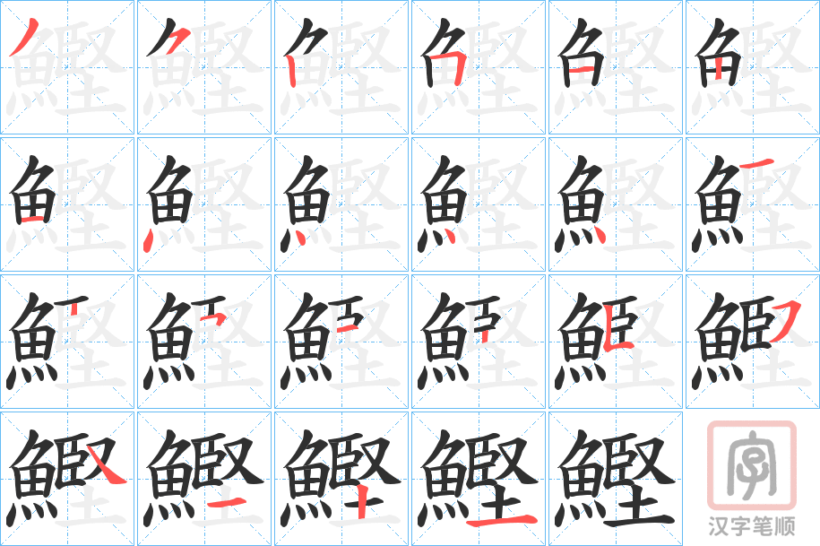 《鰹》的笔顺分步演示（一笔一画写字）
