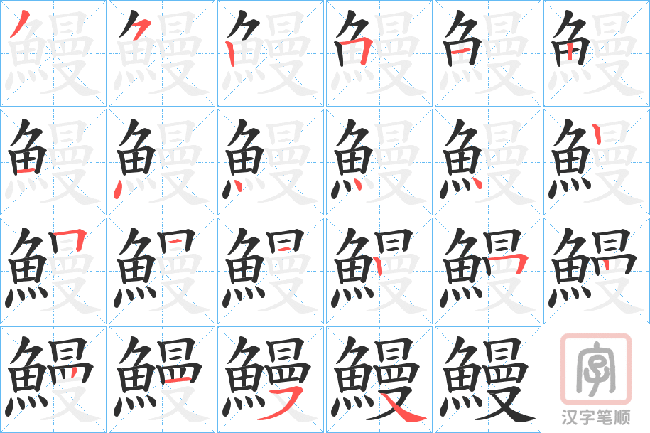《鰻》的笔顺分步演示（一笔一画写字）