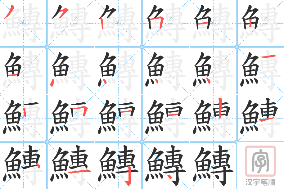 《鱄》的笔顺分步演示（一笔一画写字）