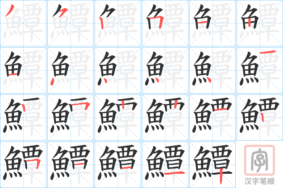 《鱏》的笔顺分步演示（一笔一画写字）