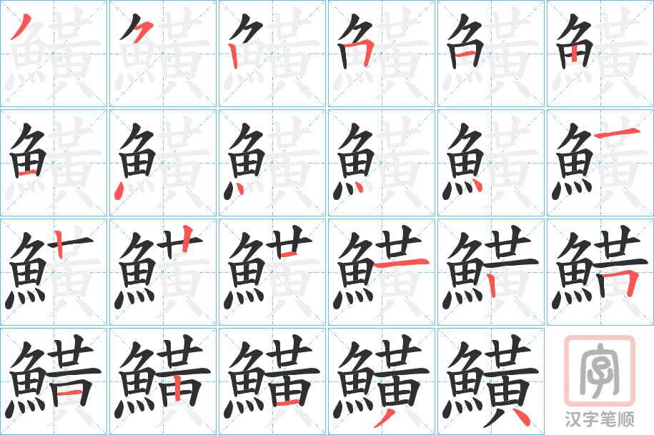 《鱑》的笔顺分步演示（一笔一画写字）