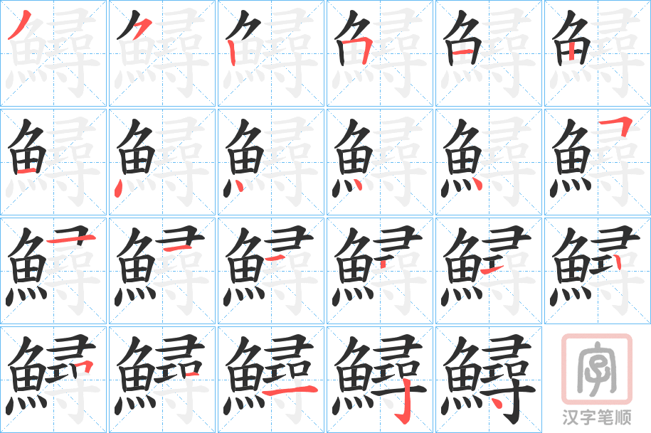《鱘》的笔顺分步演示（一笔一画写字）