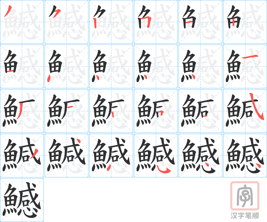 《鱤》的笔顺分步演示（一笔一画写字）