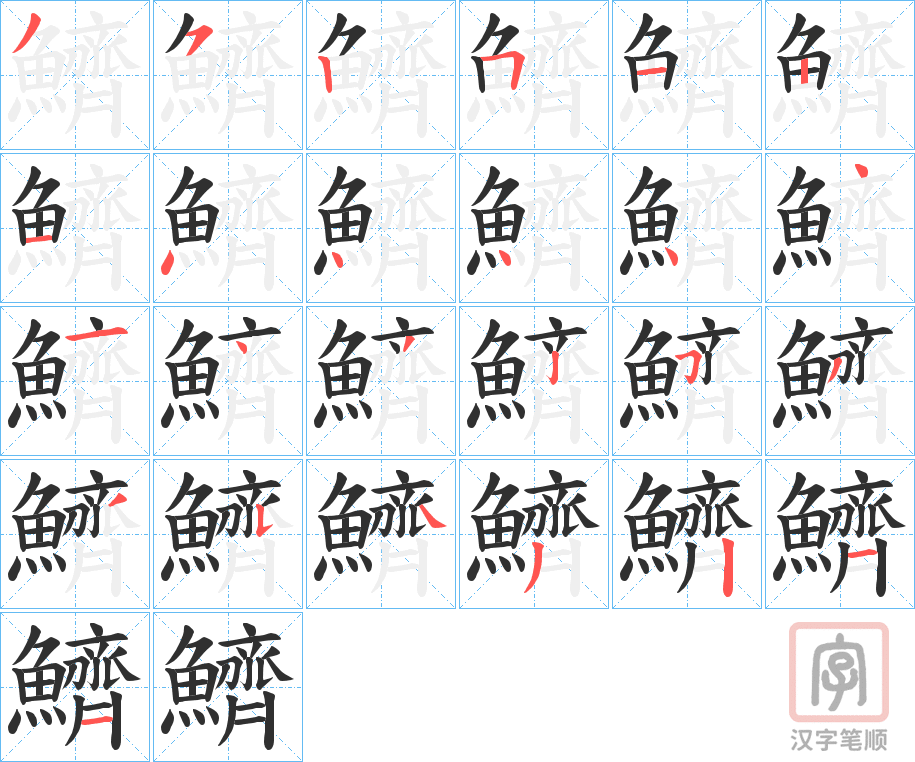 《鱭》的笔顺分步演示（一笔一画写字）