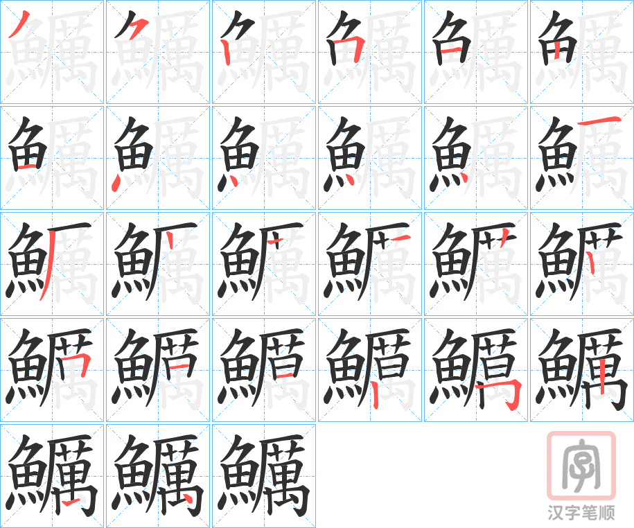 《鱱》的笔顺分步演示（一笔一画写字）