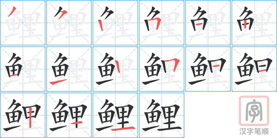 《鲤》的笔顺分步演示（一笔一画写字）