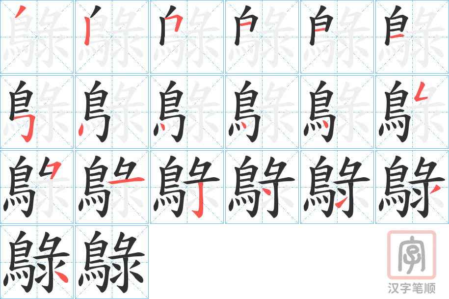 《鵦》的笔顺分步演示（一笔一画写字）