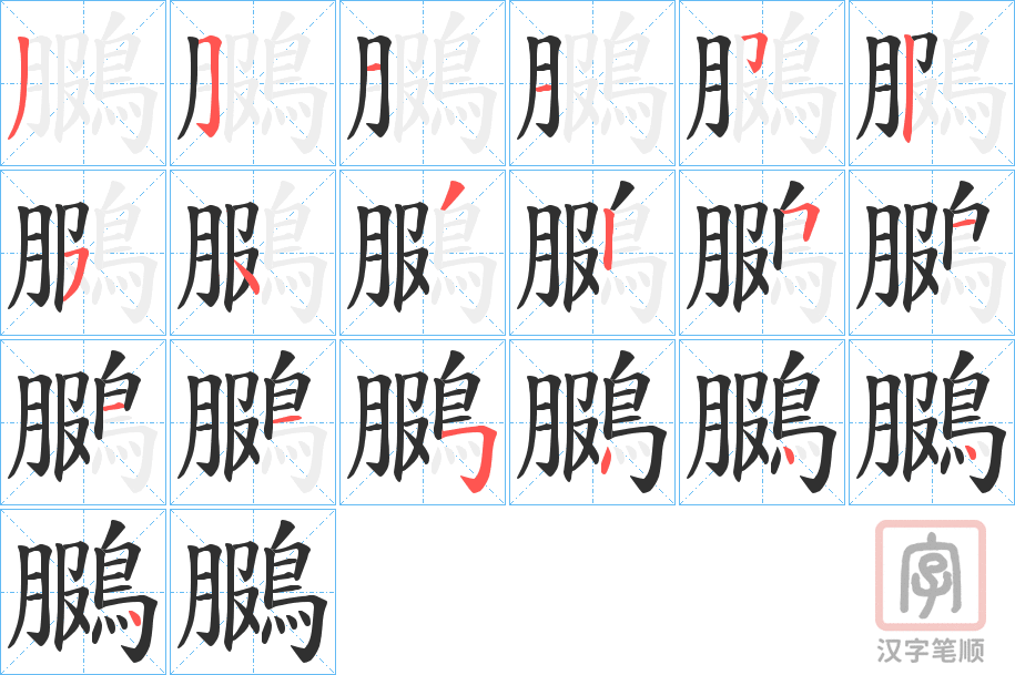 《鵩》的笔顺分步演示（一笔一画写字）