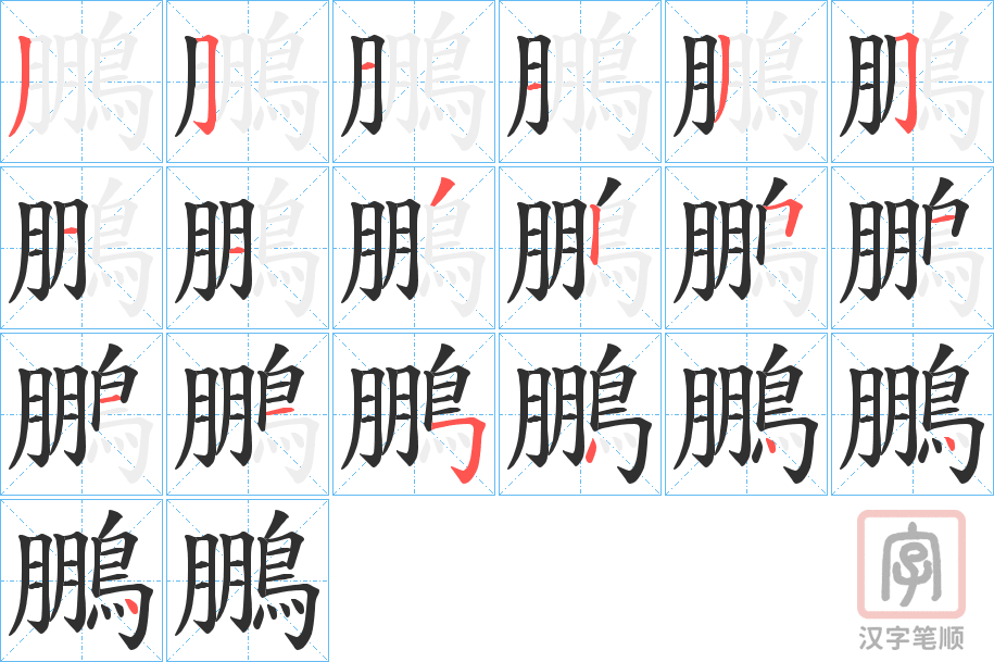 《鵬》的笔顺分步演示（一笔一画写字）