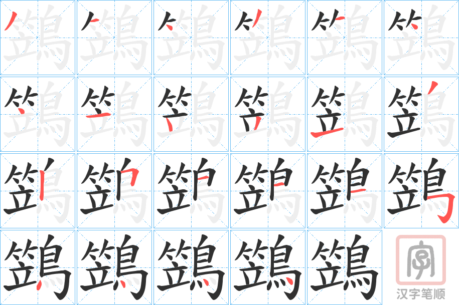 《鷑》的笔顺分步演示（一笔一画写字）