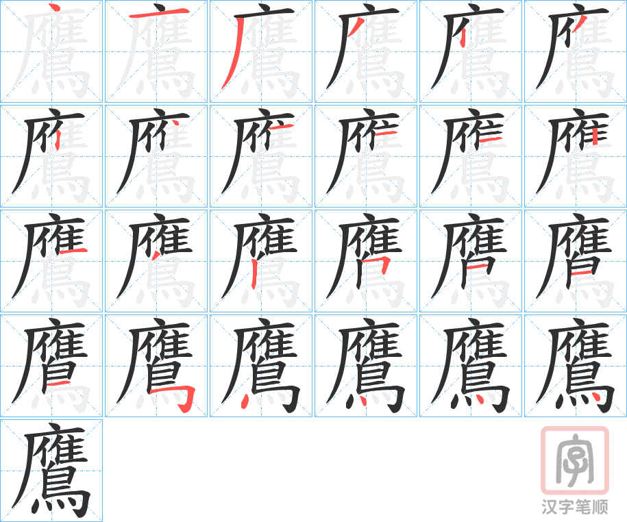 《鷹》的笔顺分步演示（一笔一画写字）